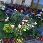 Uma Apartamento Bihać
