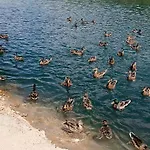 Uma Apartamento