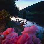 Uma Bihać