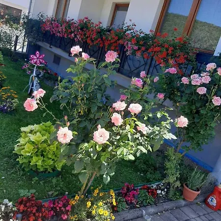 Uma Apartman Bihac